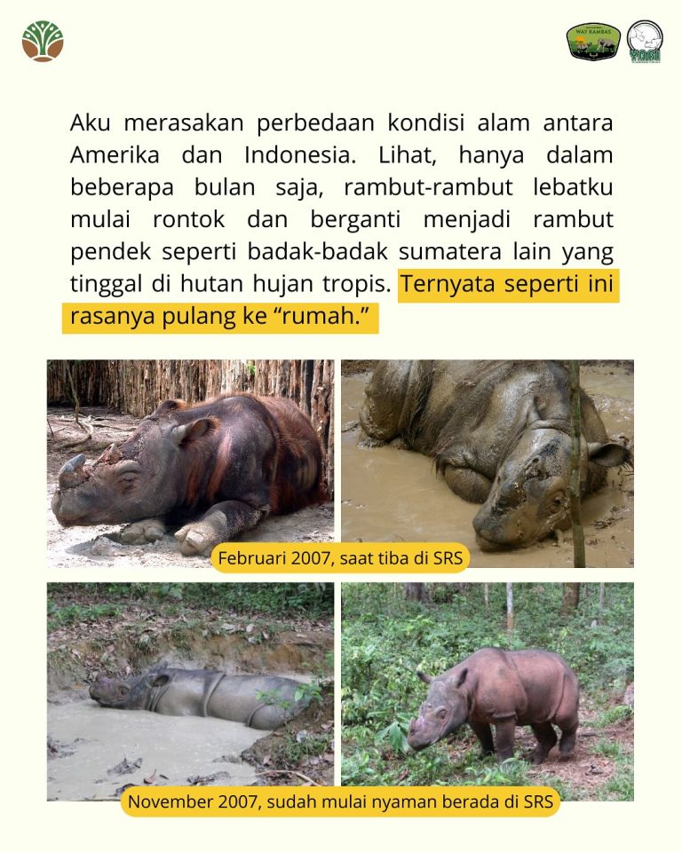 SaveClip.App_490469509_18406492039101684_5165122226400617228_n (1)