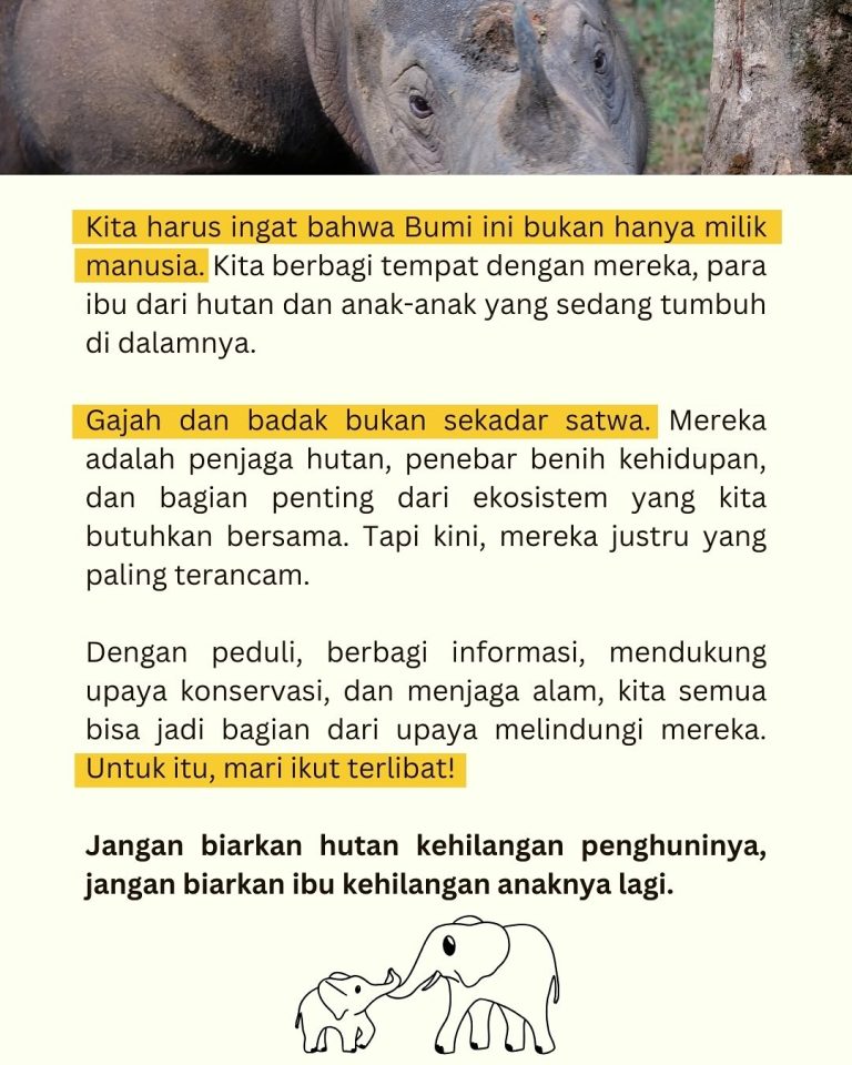 SaveClip.App_498236229_18411610963101684_1938177862520192249_n