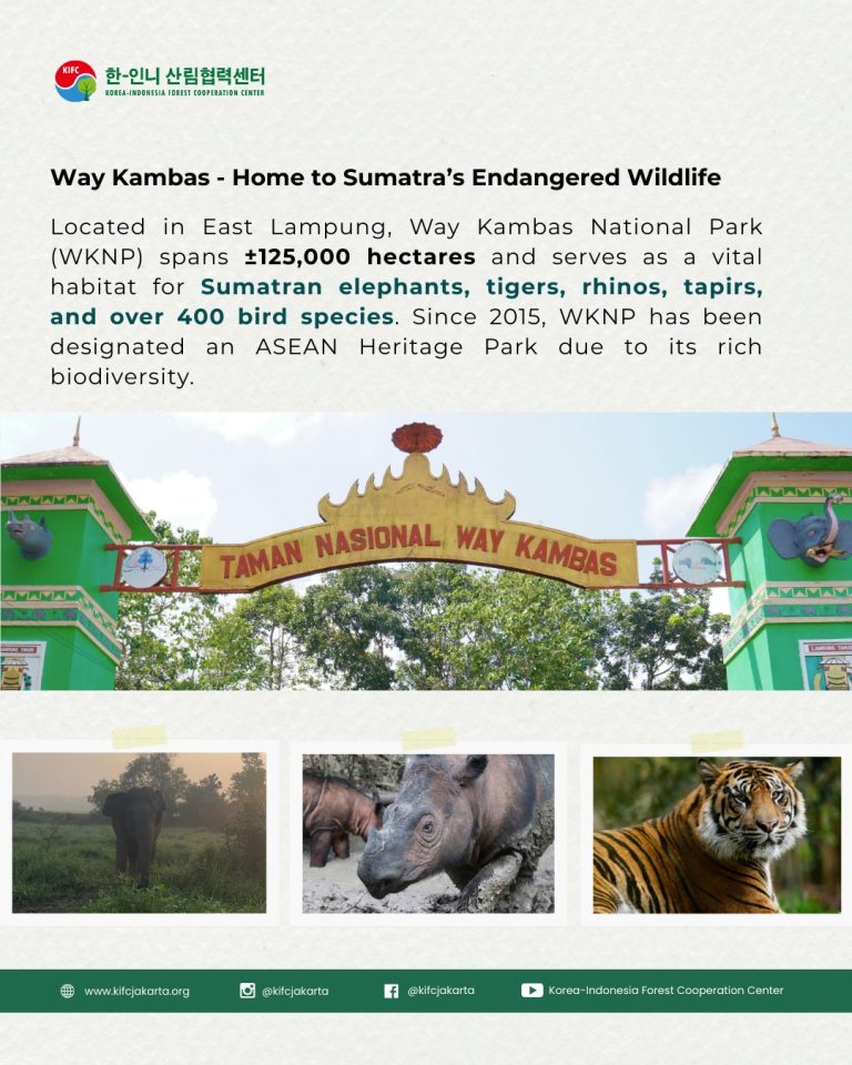 SaveClip.App_500752719_18063629396280825_2212451739908548852_n