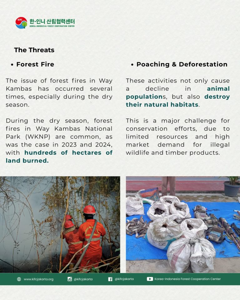 SaveClip.App_501325527_18063629411280825_3117653562476995218_n