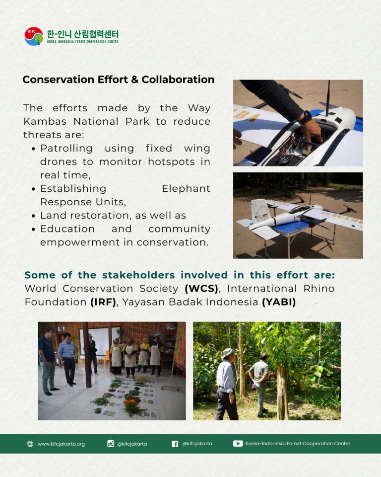 SaveClip.App_501582031_18063629414280825_1111939237043918518_n