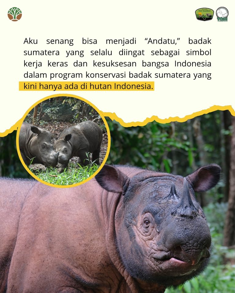 SaveClip.App_516521860_18419466985101684_1097051206653470257_n