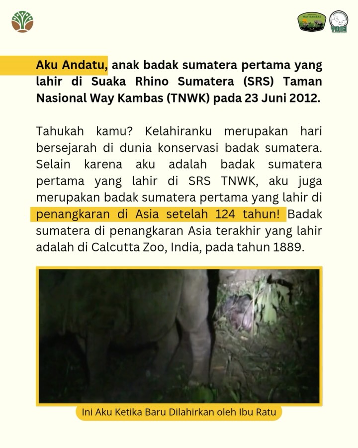 SaveClip.App_516827877_18419467039101684_1744949342704885114_n