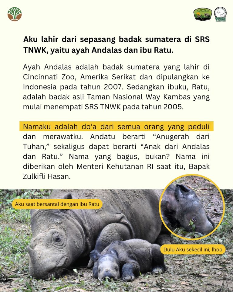 SaveClip.App_517351223_18419466919101684_8746019136500530239_n