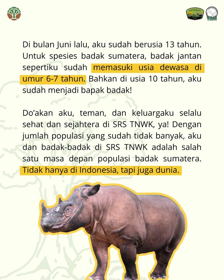 SaveClip.App_517427250_18419466994101684_2583847285920970416_n