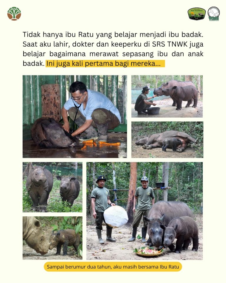 SaveClip.App_517581619_18419466940101684_5612572387879394133_n