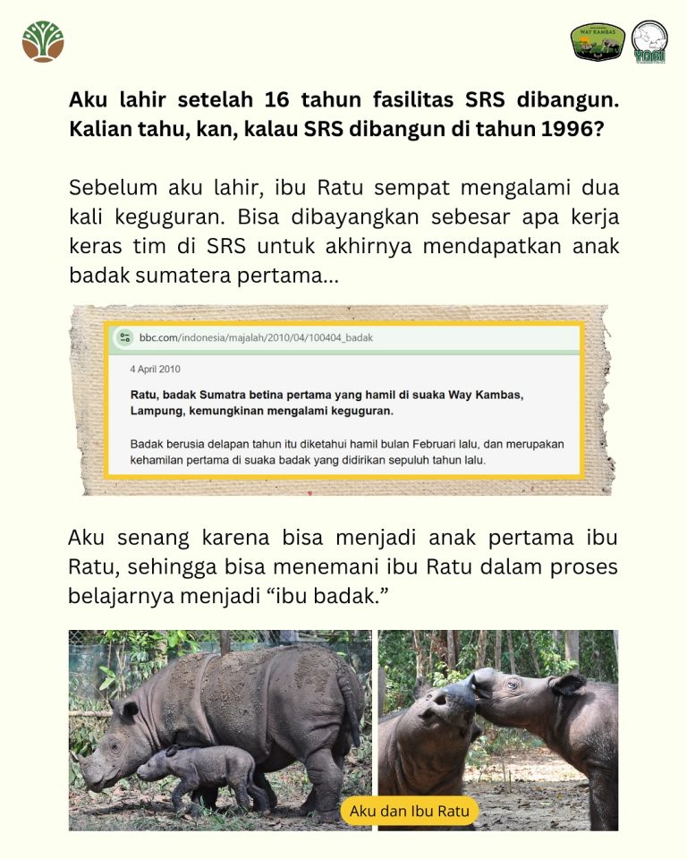 SaveClip.App_517583711_18419466931101684_6853988257628746566_n