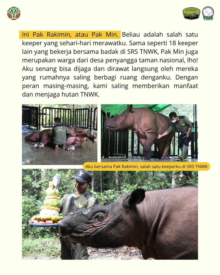 SaveClip.App_517690041_18419466958101684_8375668975042514762_n