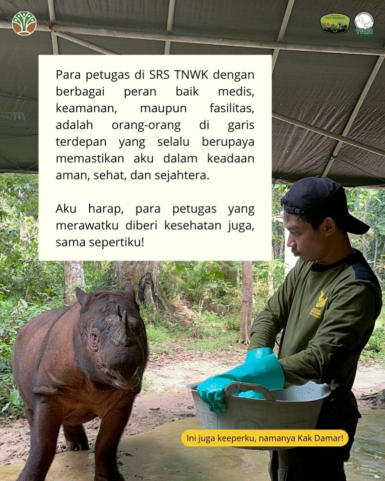 SaveClip.App_517981975_18419466976101684_1618465585527832028_n