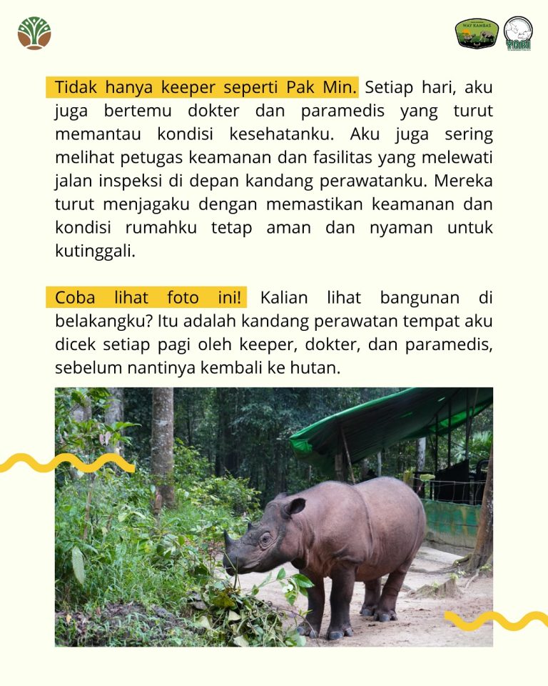 SaveClip.App_518037371_18419466967101684_2821608117205928586_n