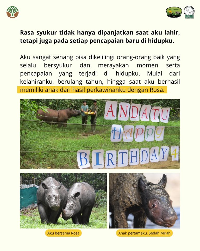 SaveClip.App_518360263_18419466949101684_7575909995149123557_n