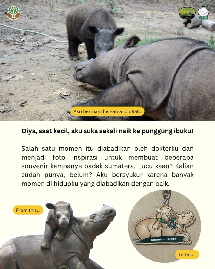 SaveClip.App_518491821_18419467105101684_2755140768828058011_n