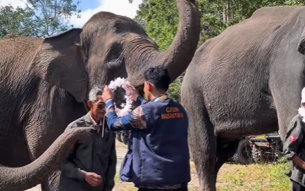 Upacara HUT RI Ke-80 (3)