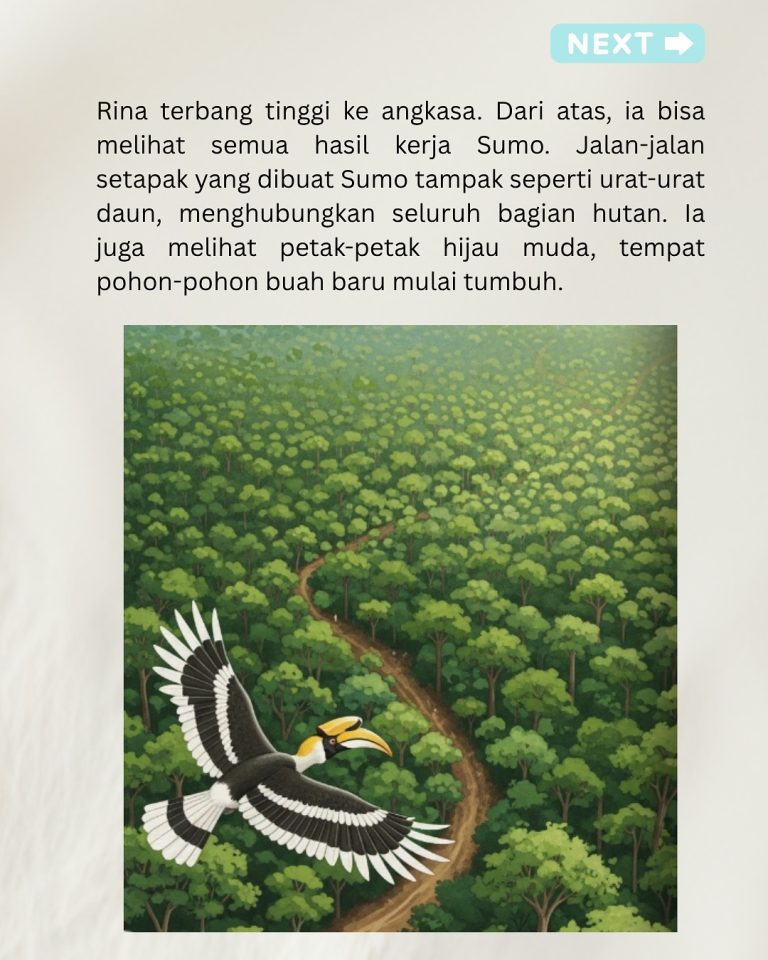 Gajah Sumatera (8)