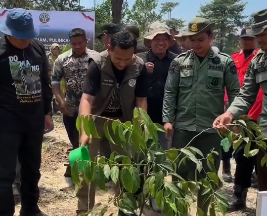Harapan Baru dari Tesso Nilo Aksi Penanaman Pohon Bersama Wakil Menteri Kehutanan dan Rimbawan Riau (3)