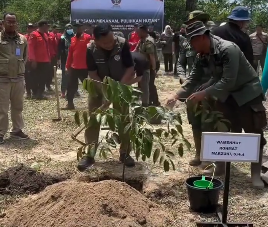 Harapan Baru dari Tesso Nilo Aksi Penanaman Pohon Bersama Wakil Menteri Kehutanan dan Rimbawan Riau (4)