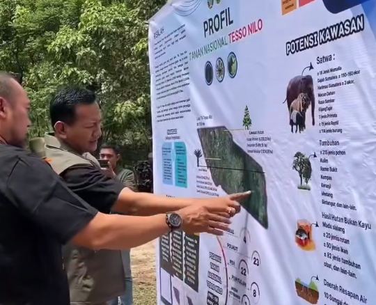 Harapan Baru dari Tesso Nilo Aksi Penanaman Pohon Bersama Wakil Menteri Kehutanan dan Rimbawan Riau (5)