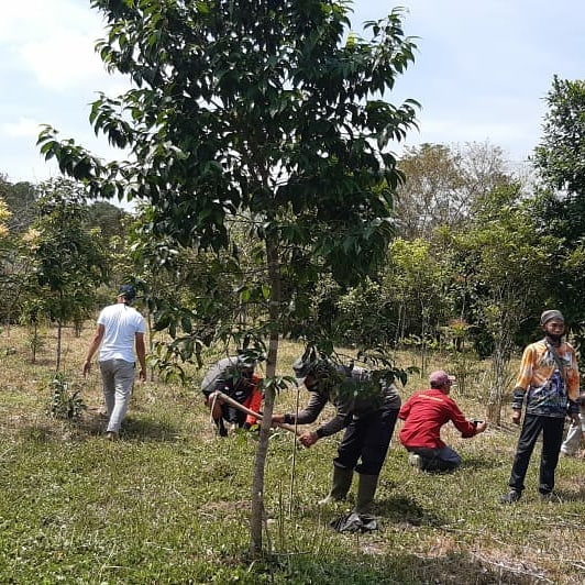 SaveClip.App_121822884_117901256587801_7004711456702765377_n