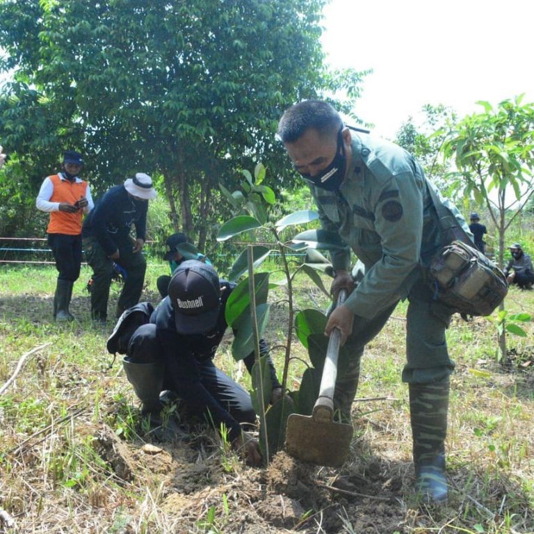 SaveClip.App_122009391_377040713338474_1127050675185825704_n