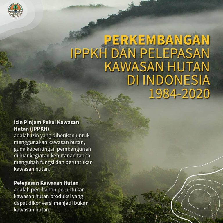 SaveClip.App_142854366_404874950574909_5033119318198383007_n