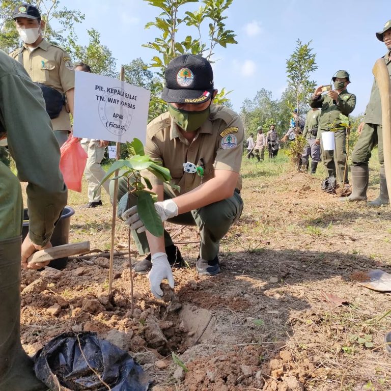 SaveClip.App_199261373_2827248797539571_6210086078977237790_n