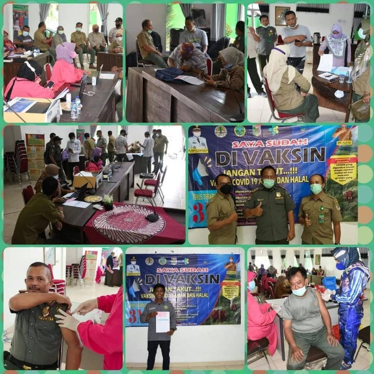 SaveClip.App_201601315_196941762205125_9163362277940334473_n