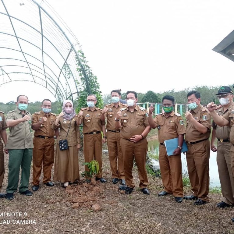 SaveClip.App_204791959_356064932561572_4956587698177566875_n