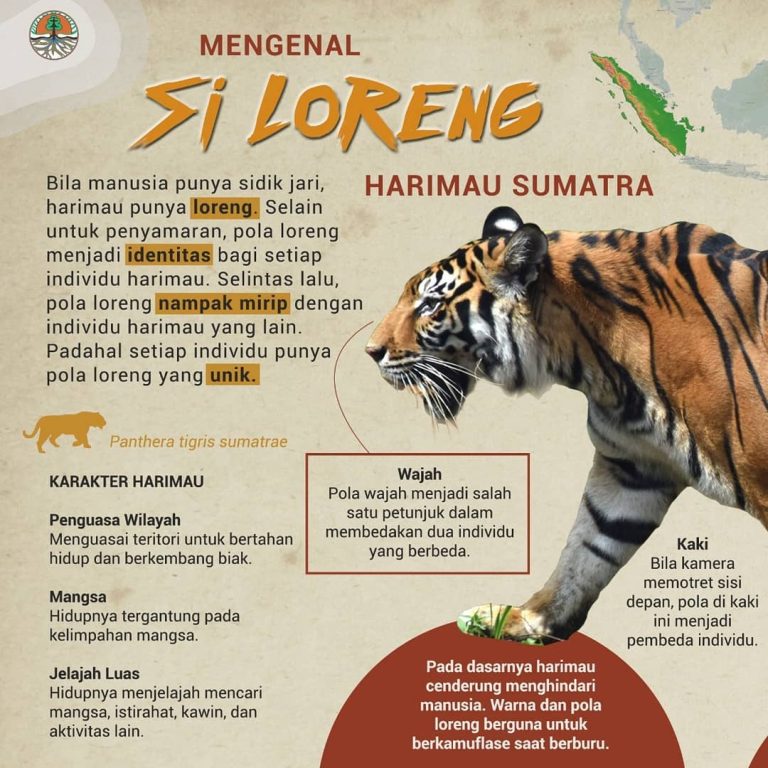 SaveClip.App_225415166_1275512072869060_8174314679311359825_n