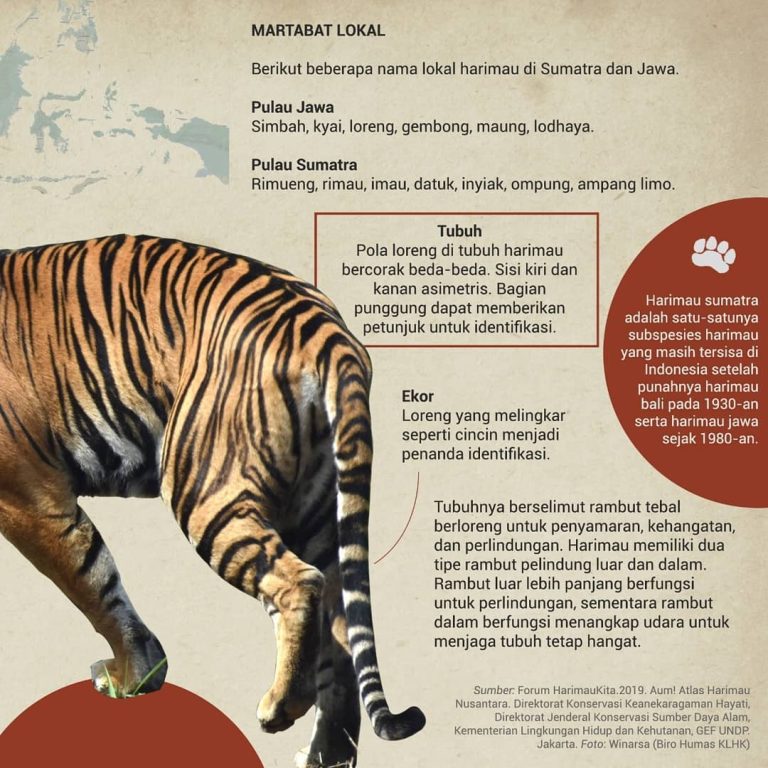 SaveClip.App_225430466_515755383024601_4584648270842906060_n