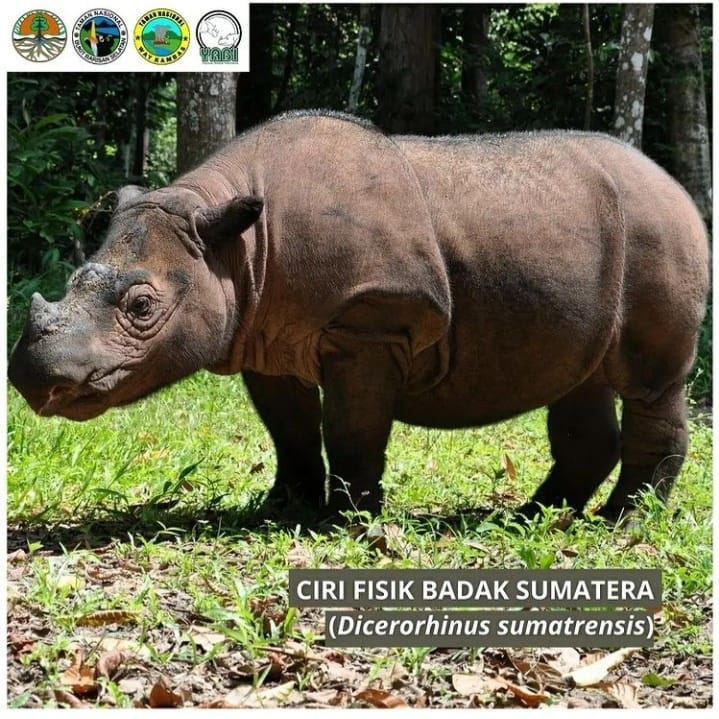 SaveClip.App_244456487_139388598411280_4597077104704003710_n (1)