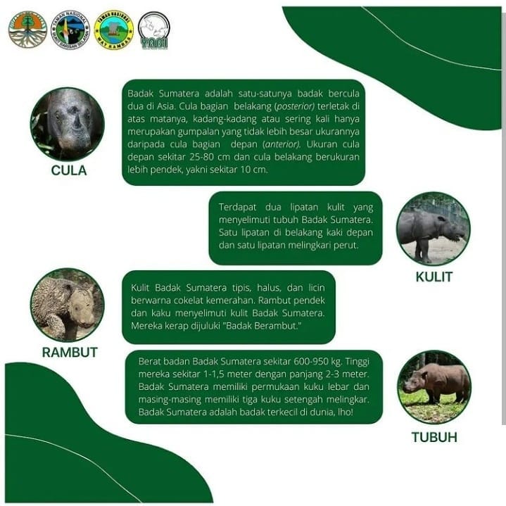 SaveClip.App_244562283_283614083625547_2780722468459519828_n (1)