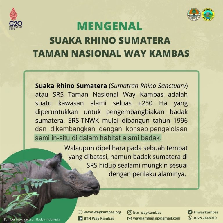 SaveClip.App_277043081_3889771454580510_3925895942075286803_n