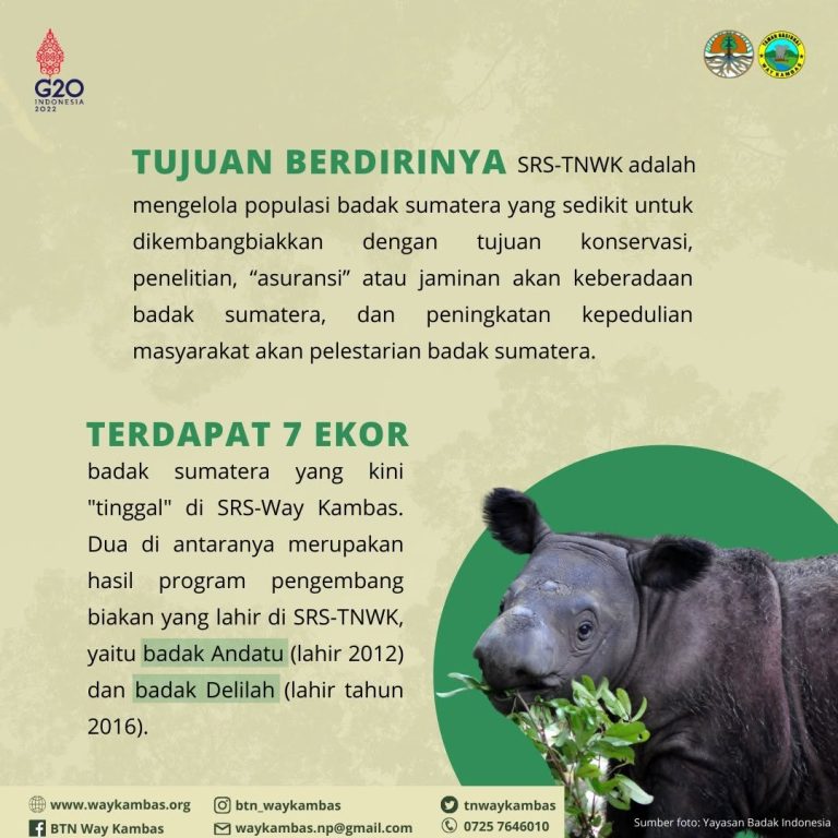 SaveClip.App_277082299_982161529084786_7365213215866714725_n