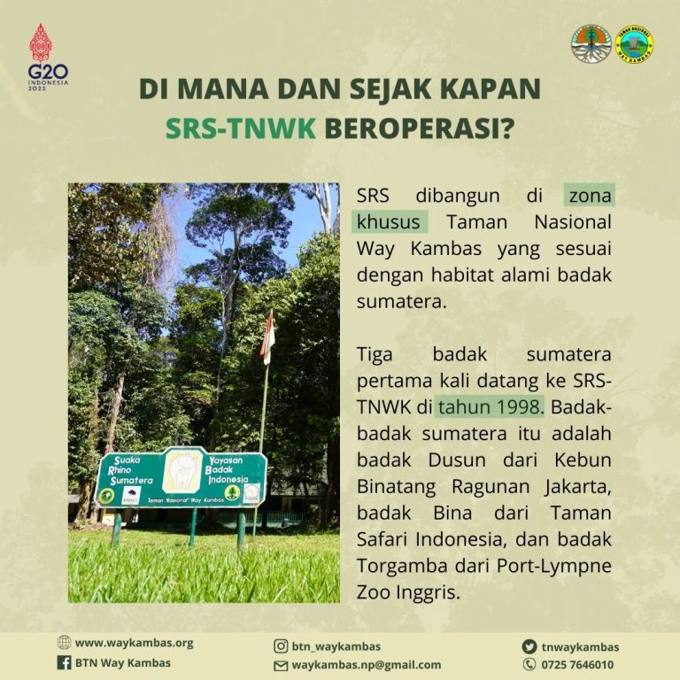 SaveClip.App_277143868_323019926387126_790806513660077306_n