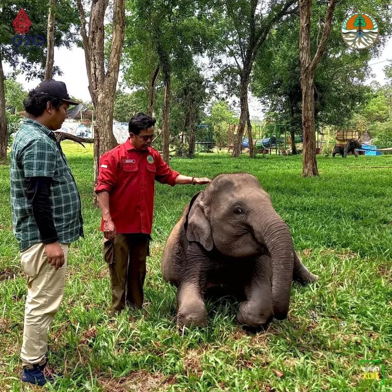 SaveClip.App_279253405_1099860373911525_404107660267276823_n