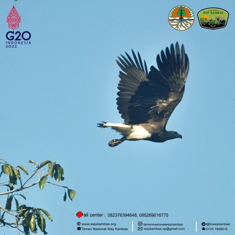 SaveClip.App_291834430_201168718976694_6090652894588237196_n