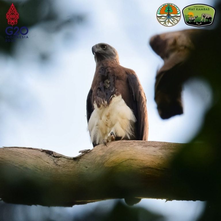 SaveClip.App_292188258_369752321927192_9181474055819674524_n