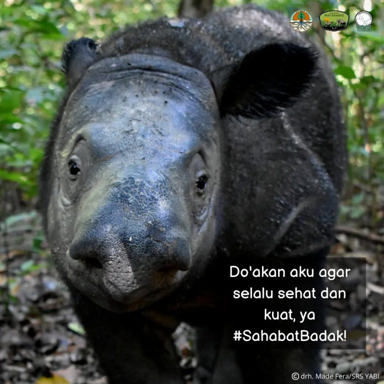 SaveClip.App_300881526_171211845430737_2286557969709164210_n