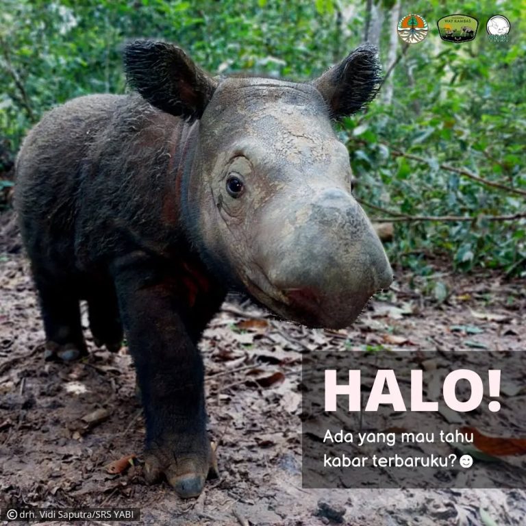 SaveClip.App_300942002_193415499751031_7233267097059094192_n