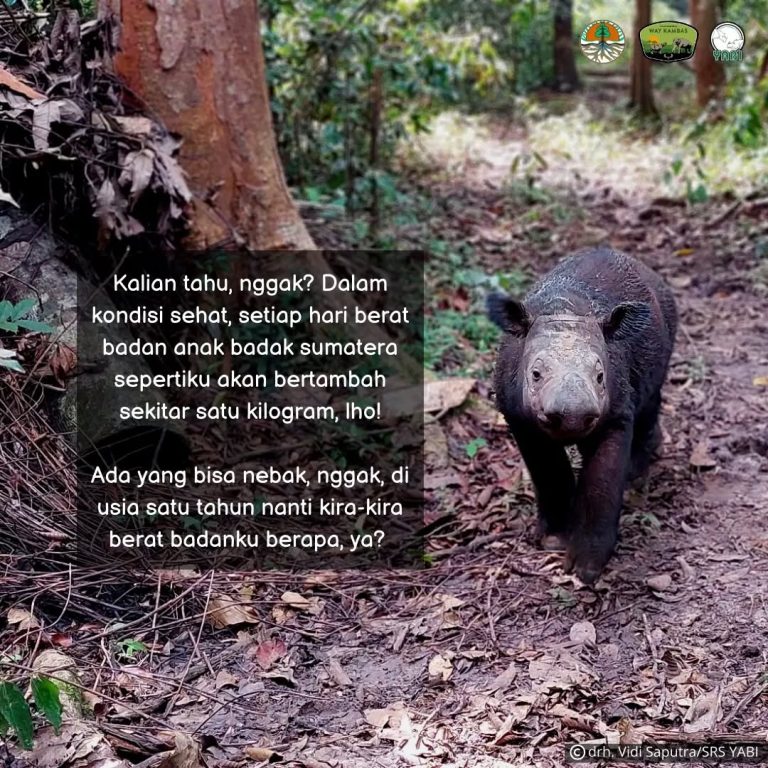 SaveClip.App_301119520_449355517130650_2368890943316730093_n