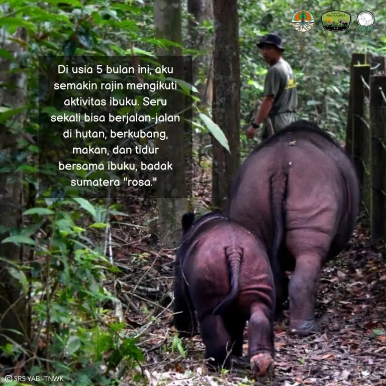 SaveClip.App_301122176_609956900506015_5290302748856905112_n