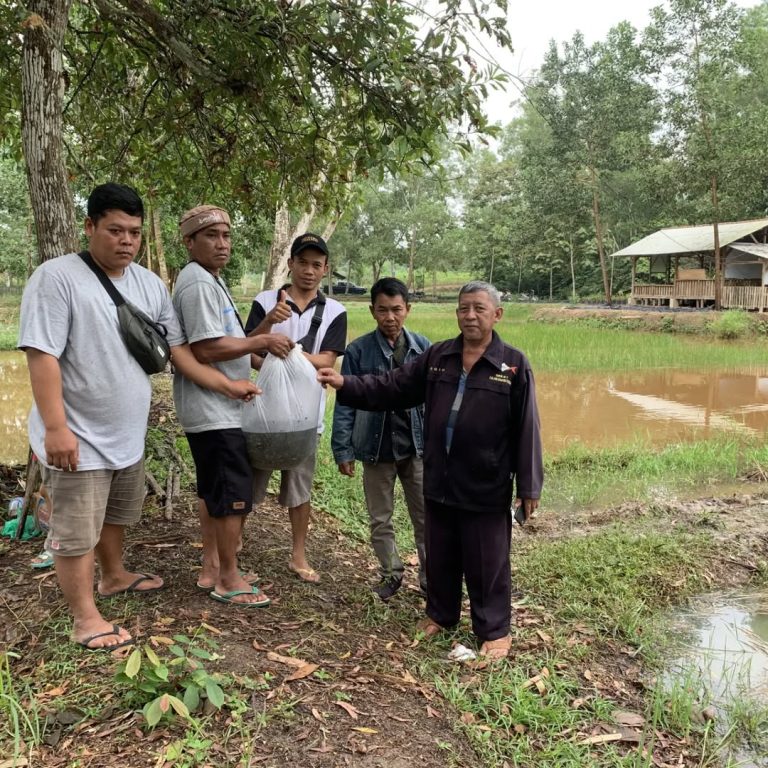 SaveClip.App_301267437_774799150506371_7280616468630740299_n