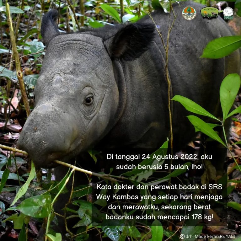 SaveClip.App_301544207_172975681933358_8129521553609393222_n