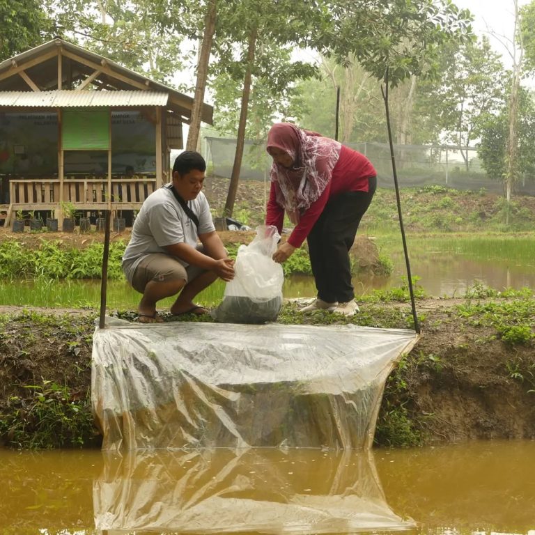 SaveClip.App_301631516_758983611984371_8859036178687807172_n