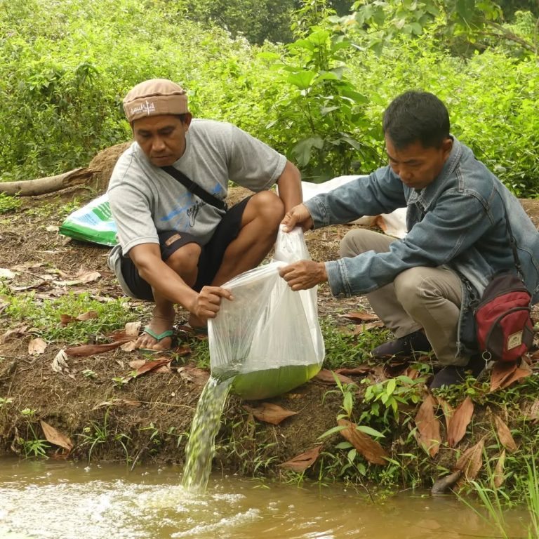 SaveClip.App_301639691_465881608749386_1875145161948864507_n