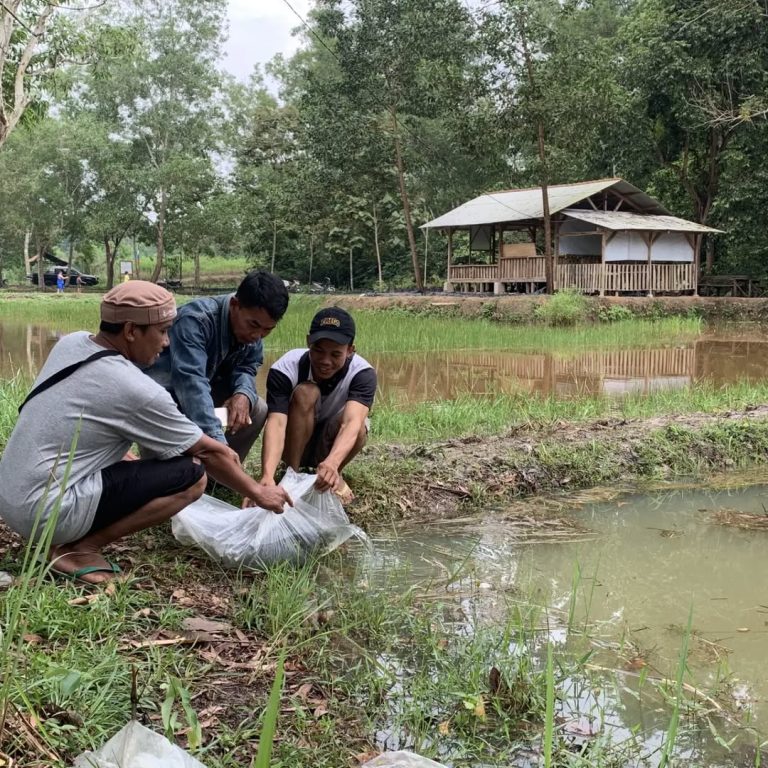 SaveClip.App_301680908_5754258181284822_1689491084004530353_n