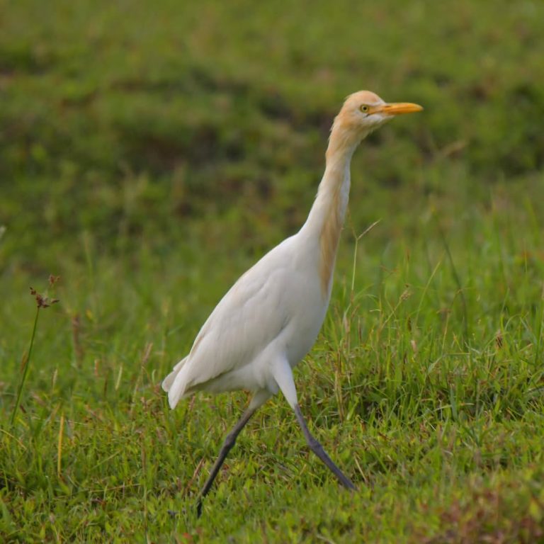 SaveClip.App_305094783_155071753836587_1321733029530239721_n