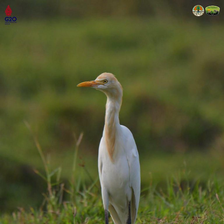 SaveClip.App_305215148_203001602155227_4183812016276297999_n