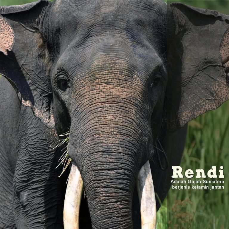 SaveClip.App_305308297_192163076606805_3341313424762494138_n