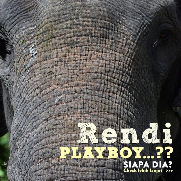 SaveClip.App_305521477_497336115537082_3652156260445688153_n